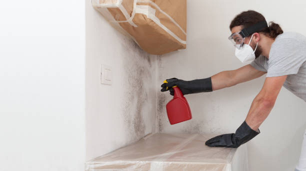 Professional Crawl Space Mold Remediation technician working in Batavia, IL