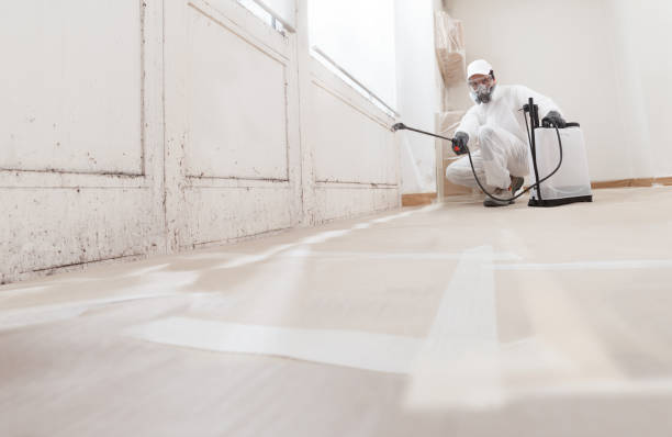 24/7 Emergency Crawl Space Mold Remediation experts in Batavia, IL