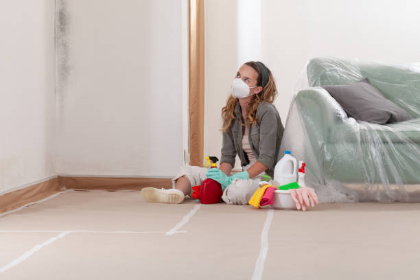 Reliable Crawl Space Mold Remediation contractor in Batavia, IL by 24 Hour Mold Removal
